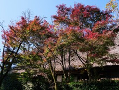 日本民家園Ⅱ