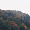 心眼で眺めれば嵐山の紅葉 Ⅱ