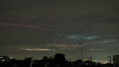 ワクチンは期待しない方がよい