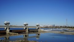 多摩川河畔　冬の散歩道