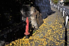 坂道の消火栓