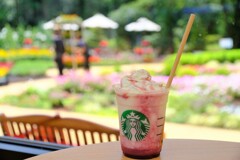 山梨のブドウフラペチーノ