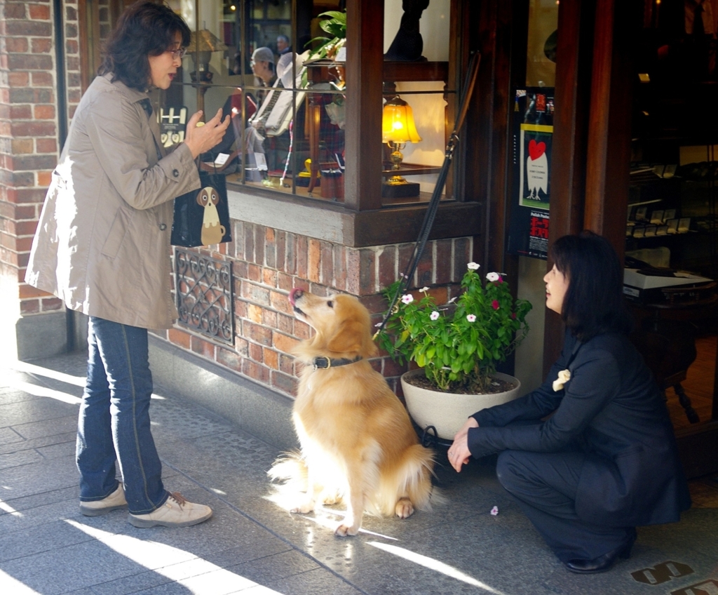 犬が好き