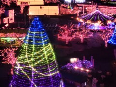 ジェルミネーション