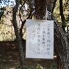 これは…