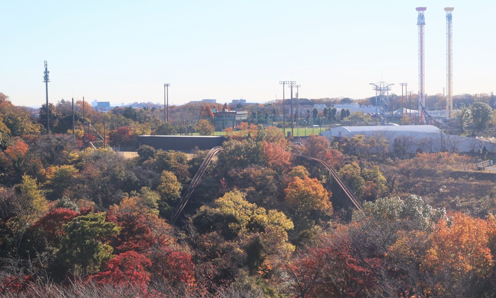 紅葉のピーク