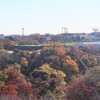 紅葉のピーク