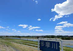 美しい多摩川