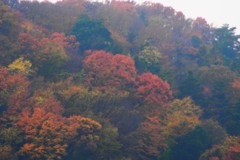 紅葉山