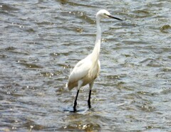 ちゃんと撮りましょう