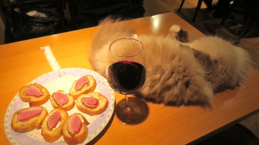 いっちゃったオーちゃん