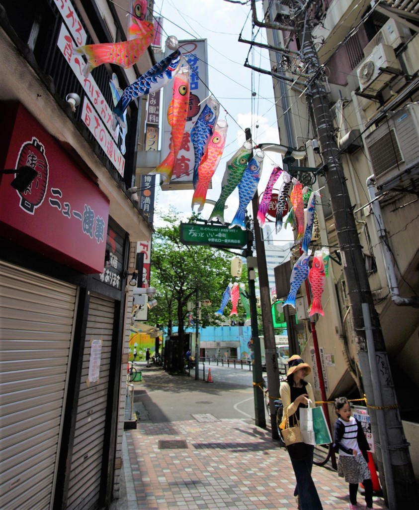 フジヤカメラへの小路
