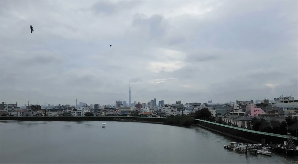 雲間からスカイツリー