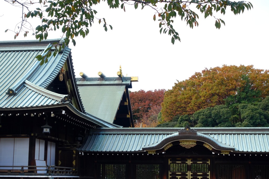 今朝の靖国神社
