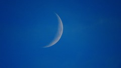はかない三日月