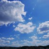 直射日光50℃超の空