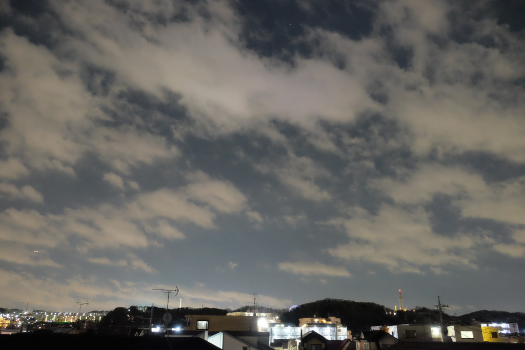 高感度でも抜けの良さと質感描写が際立つ