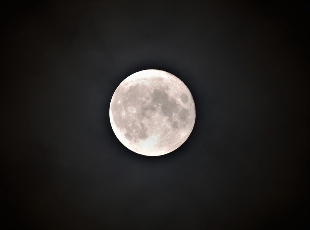 とりあえず中秋の名月