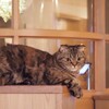 この子忘れてました