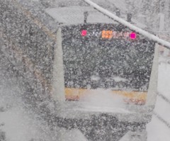 雪国の電車だぜい！