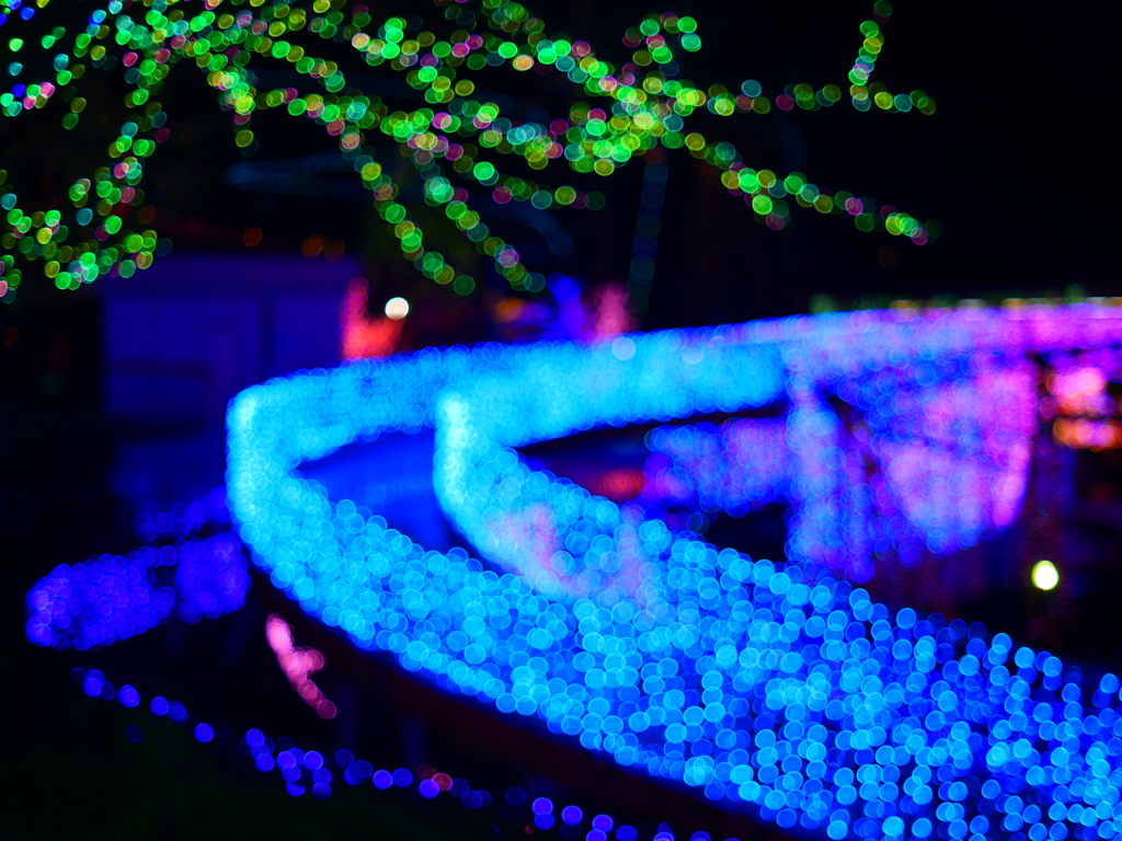 ジェルミネーション