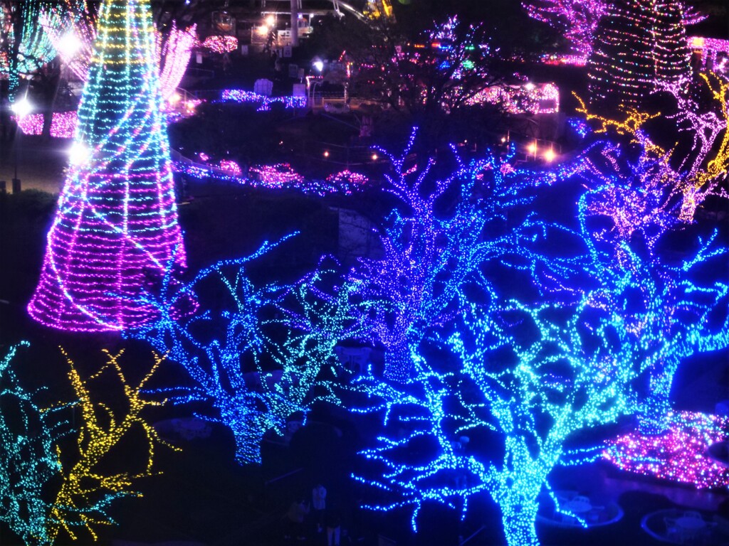 ジェルミネーション