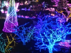 ジェルミネーション