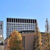 上智大学