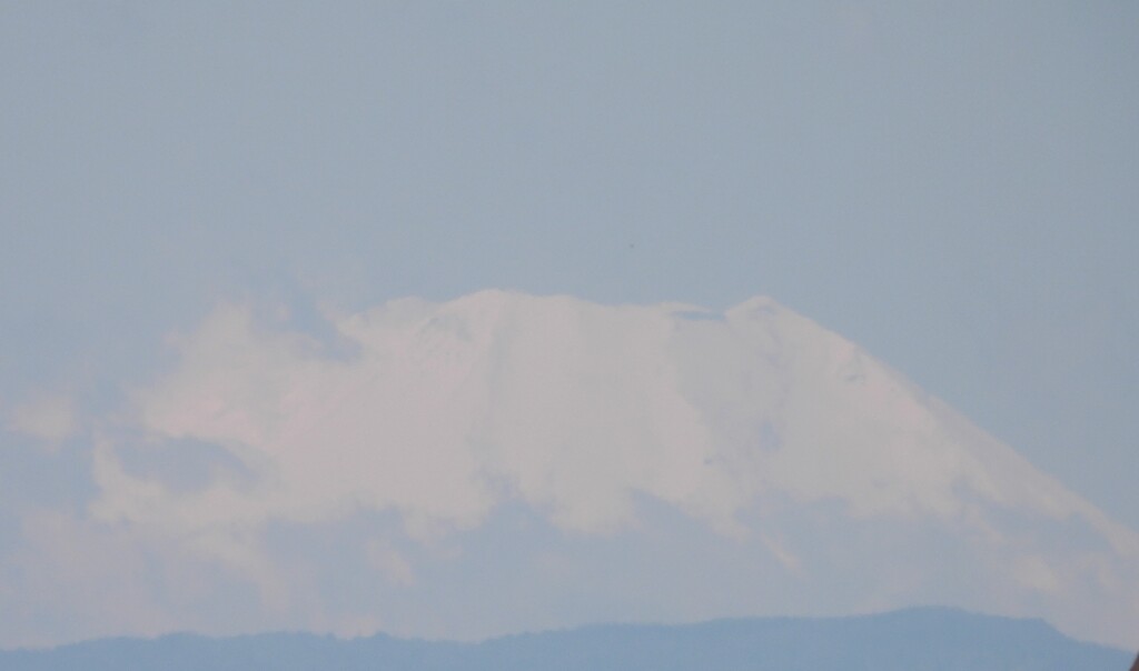 春霞の富士山