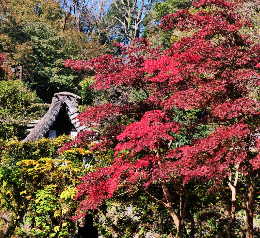日本民家園Ⅰ