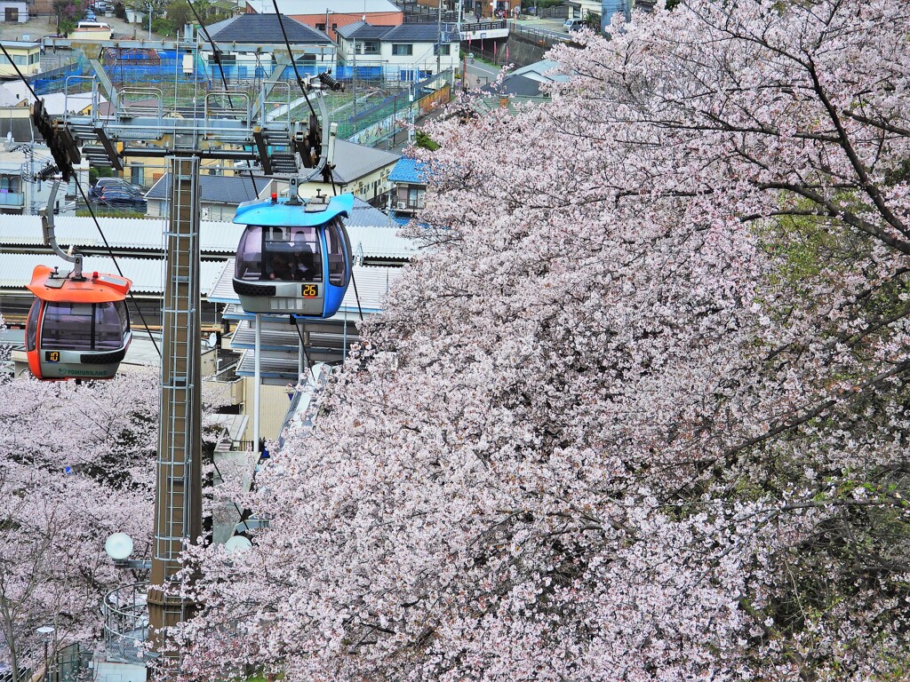 「巨人への道」から