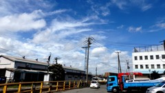 男の青空