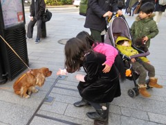 さっそくお控えありがとうござんす