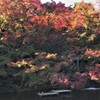 大池の紅葉