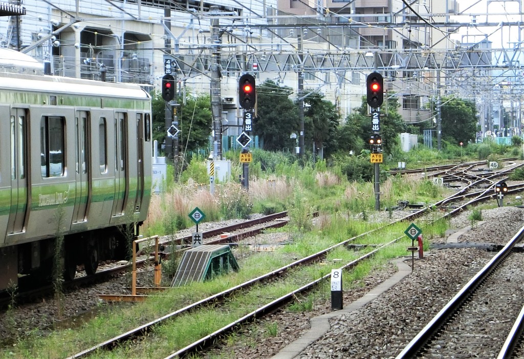 緑の駅