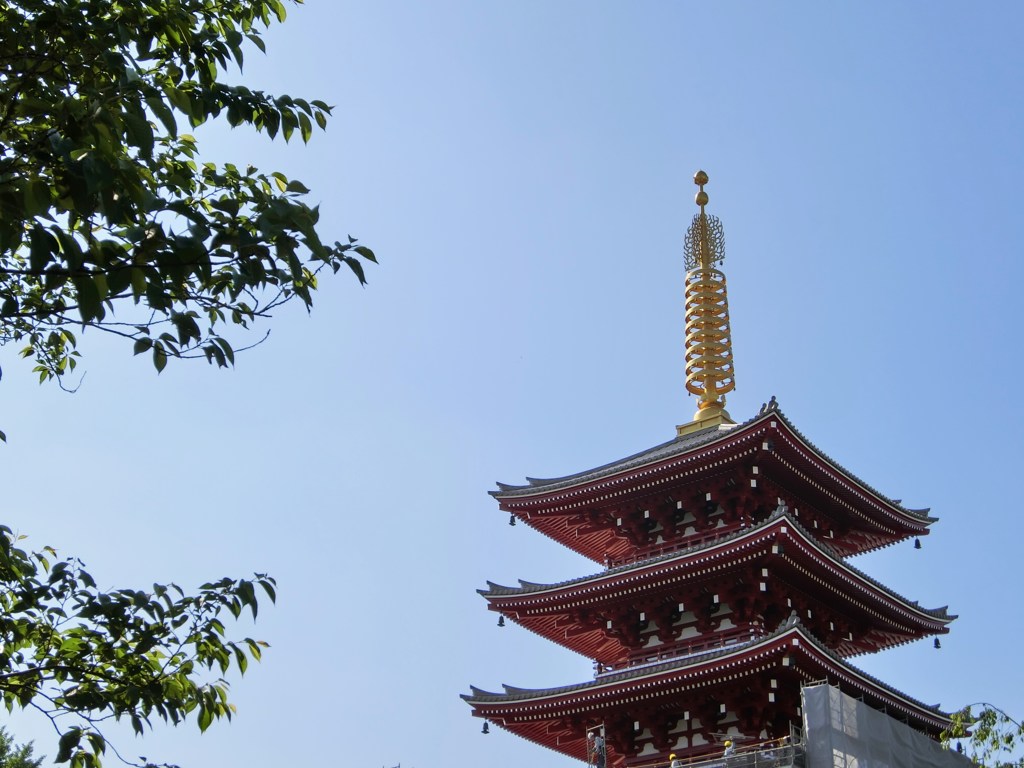 順光で
