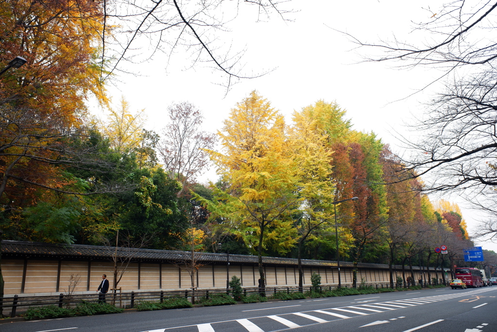 東京散歩