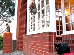 今日はヒマでね