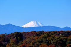 買い物ついでの富士山