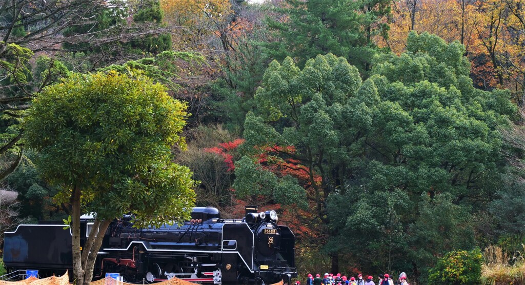 年長さんとD51