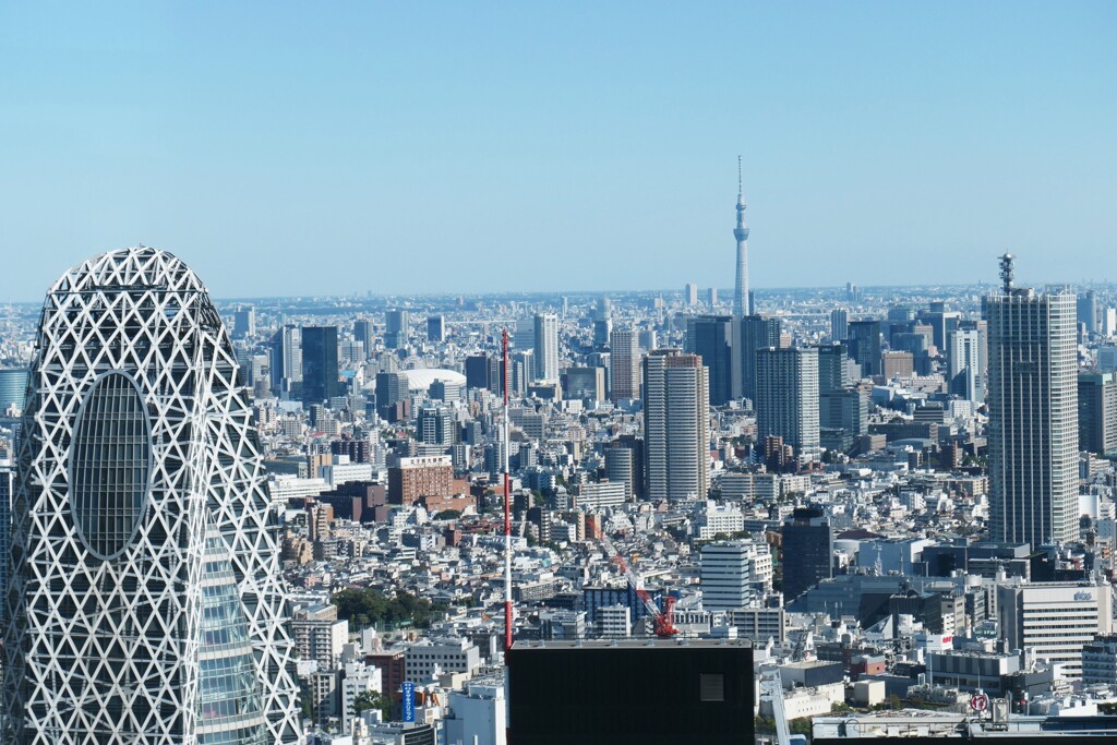 東京モード学園とスカイツリー