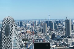 東京モード学園とスカイツリー