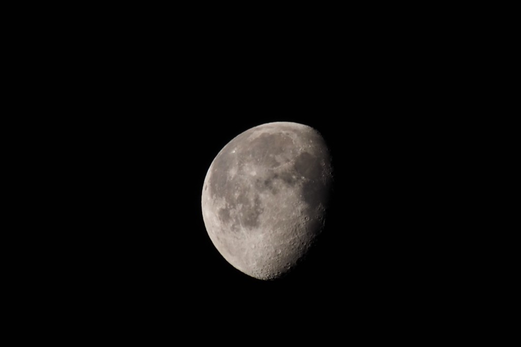 昼まで寝ていたかったのに