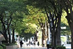帰り道