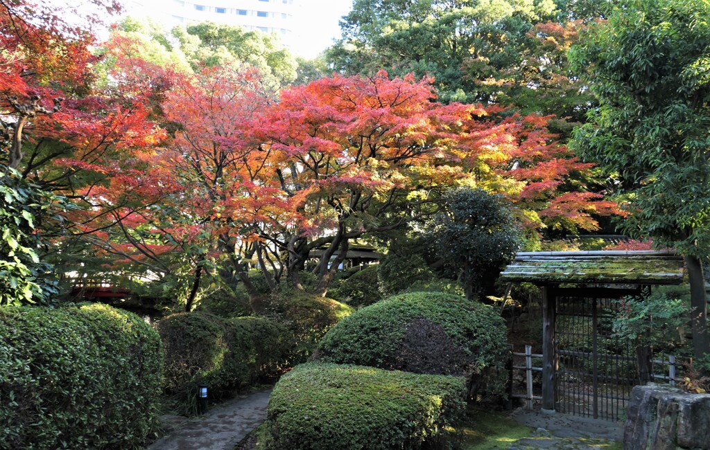 茶室の前