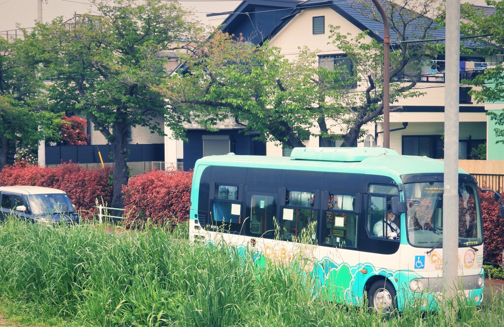 ちゅうバス