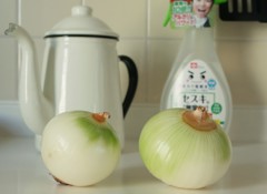 冷蔵庫に入れてはいけない野菜