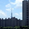 反対側から見たスカイツリー