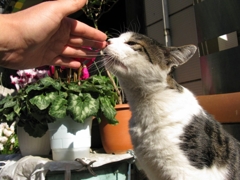 クンクン（東京・新中野）