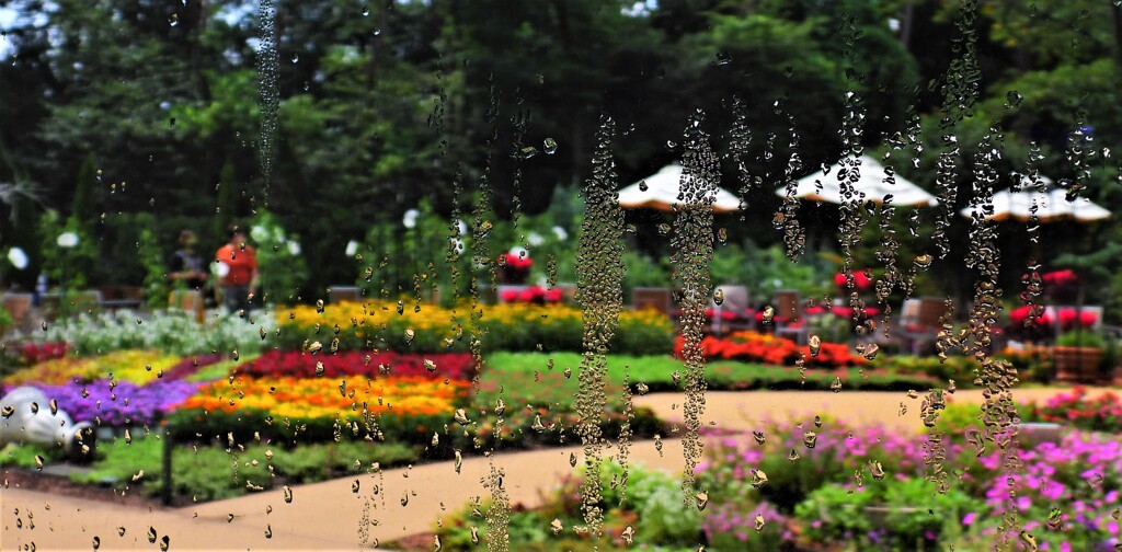 ウエットな情感も